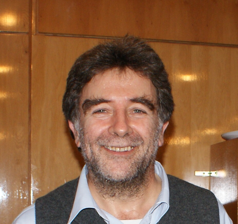 Patricio Felmer, investigador de la Facultad de Ciencias Físicas y Matemáticas, y del CIAE de la Universidad de Chile.